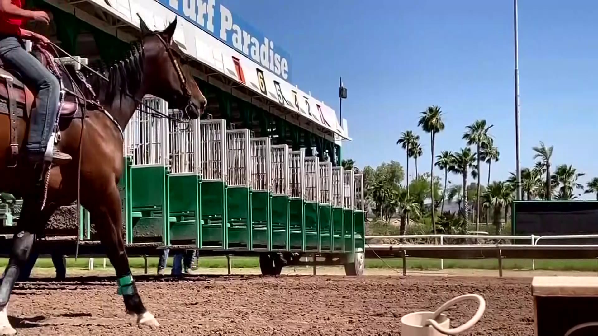 Arizona Officials Voice Concerns Over Turf Paradise Readiness for Racing Season