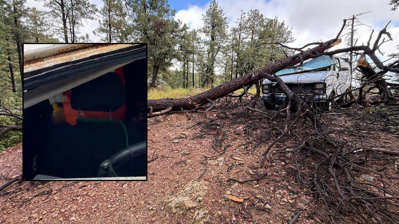 Water cooler protects man and dog from falling tree in Prescott
