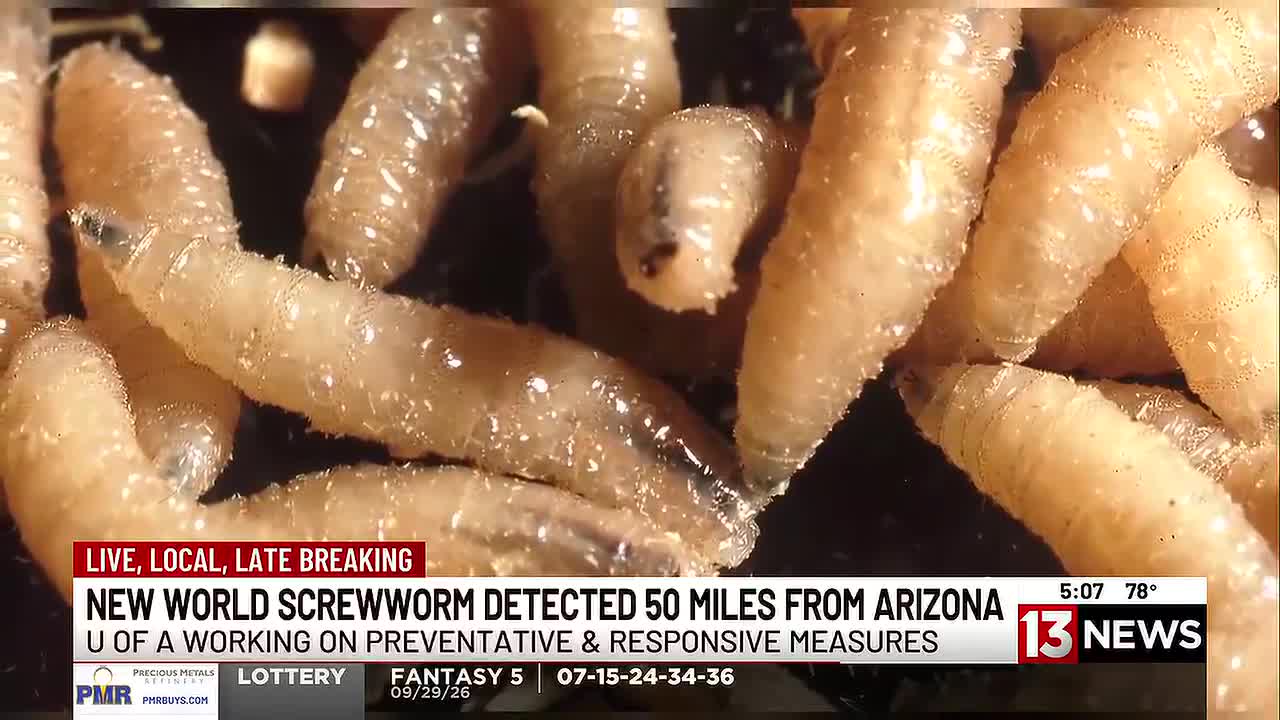 University of Arizona Bolsters Defenses Against New World Screwworm Threat