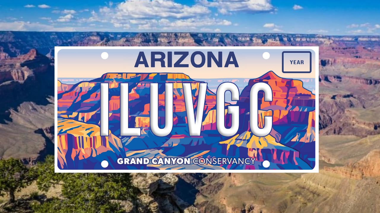 Peoria artist wins Grand Canyon specialty plate design contest