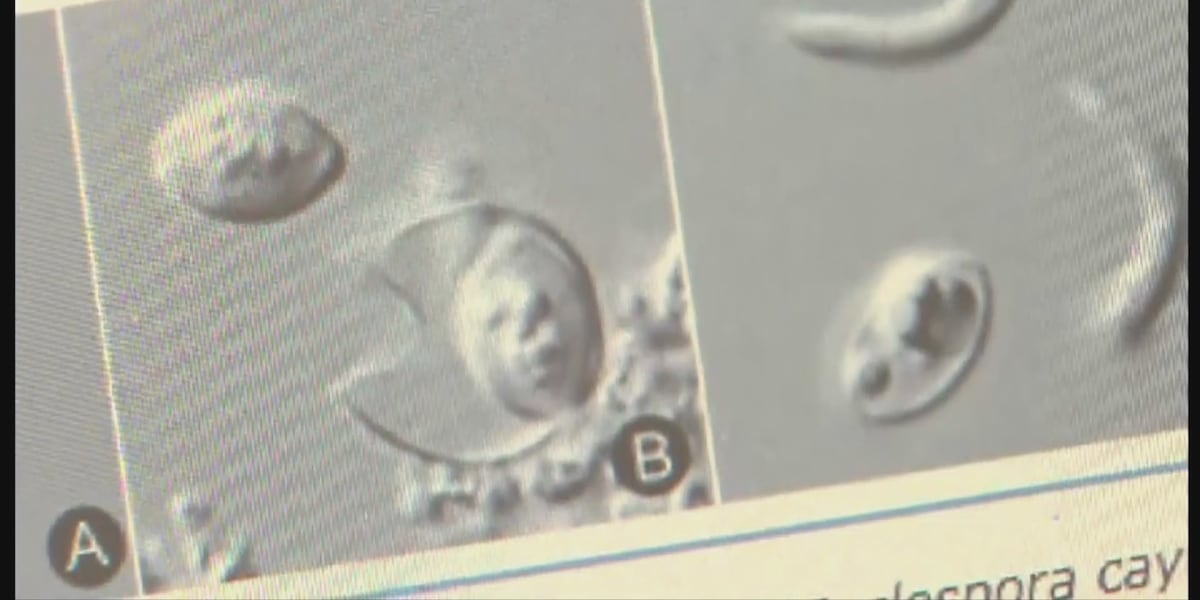 Tucson-area food banks react to Cyclospora outbreak