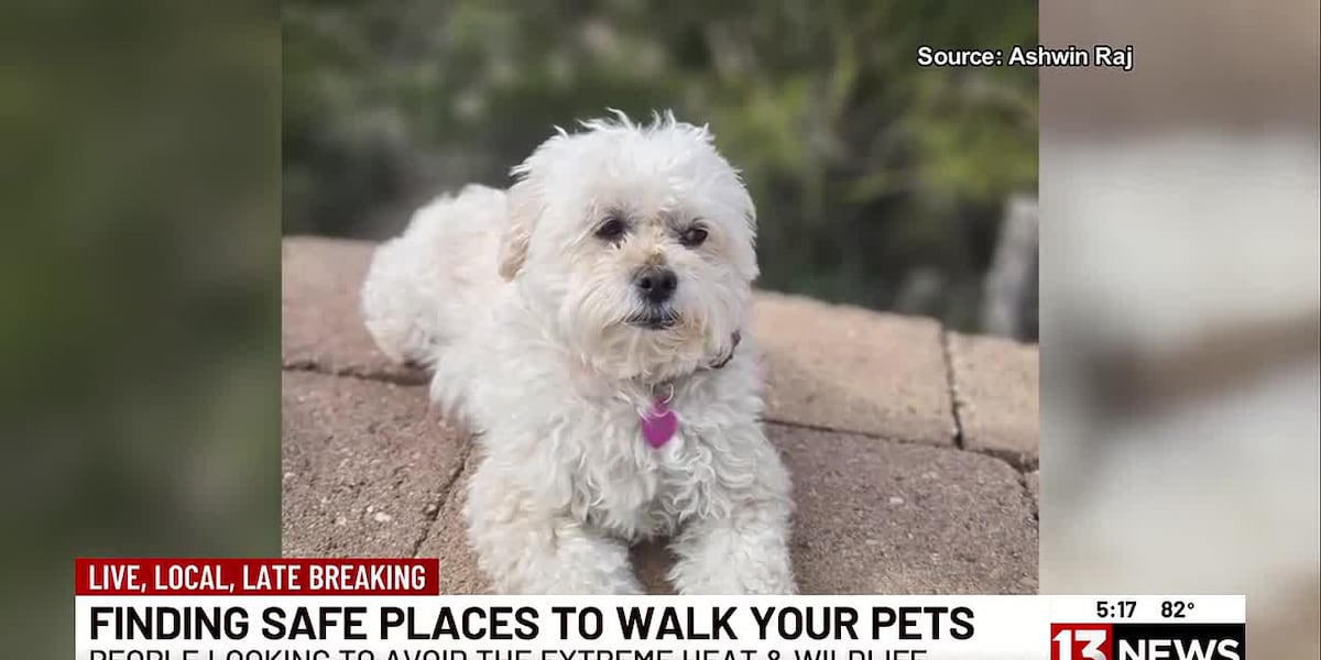 Tucson pet owners seek safe walking routes as monsoon pushes wildlife into neighborhoods