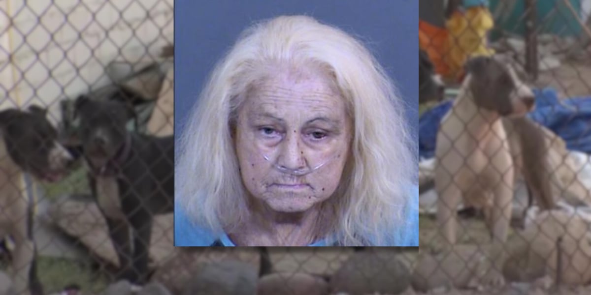 Arizona woman accused of abandoning 11 dogs, cat for weeks after eviction