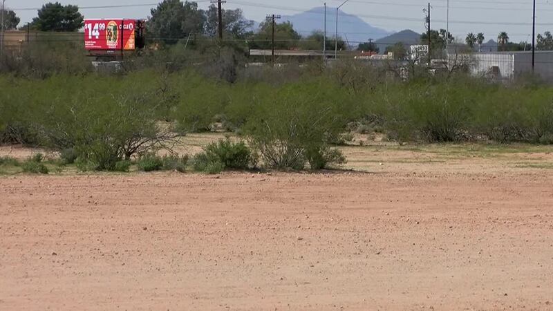 Mosaic Quarter Update