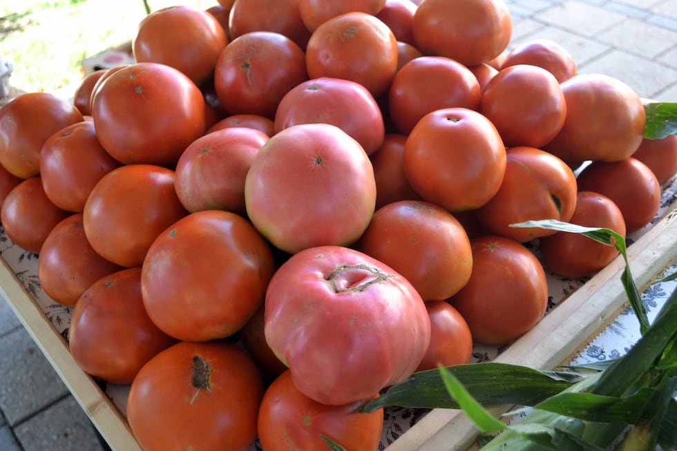 Ark of Taste Dinner to highlight healthy farm food access