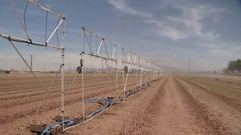 New technology could help Arizona farmers grow more in the desert conditions.