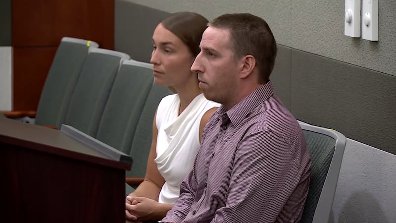 The man accused of injuring several flamingos and stealing one from a Las Vegas Strip...