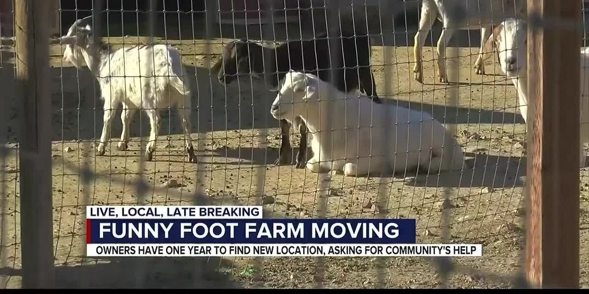 Foot Farm Funny Foot Farm & Tucson Petting Zoo looking to move after rent prices ...