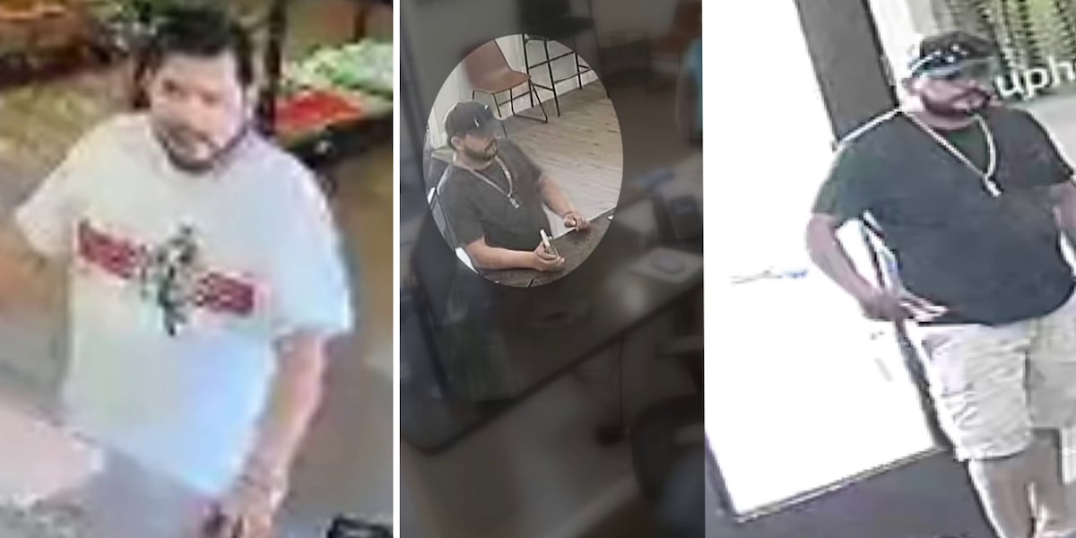 Phoenix-area nurseries say scammer stole thousands in ficus trees