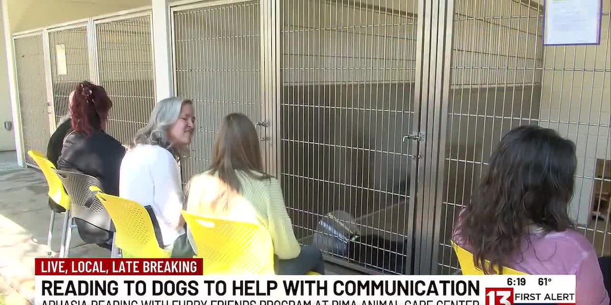 Local volunteers with aphasia find healing by reading to shelter dogs