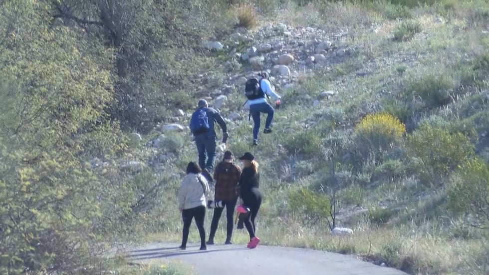 Volunteers organize community search party for Nancy Guthrie.