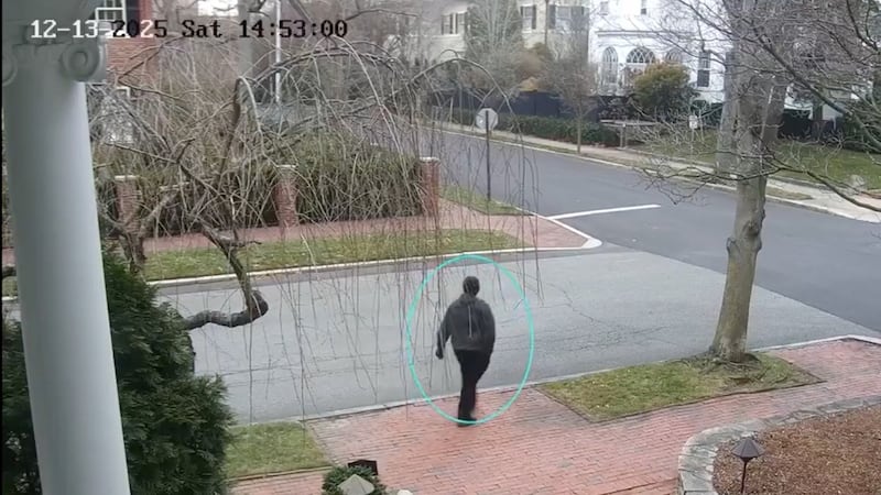 This image taken from video provided by the FBI shows a person of interest in the...