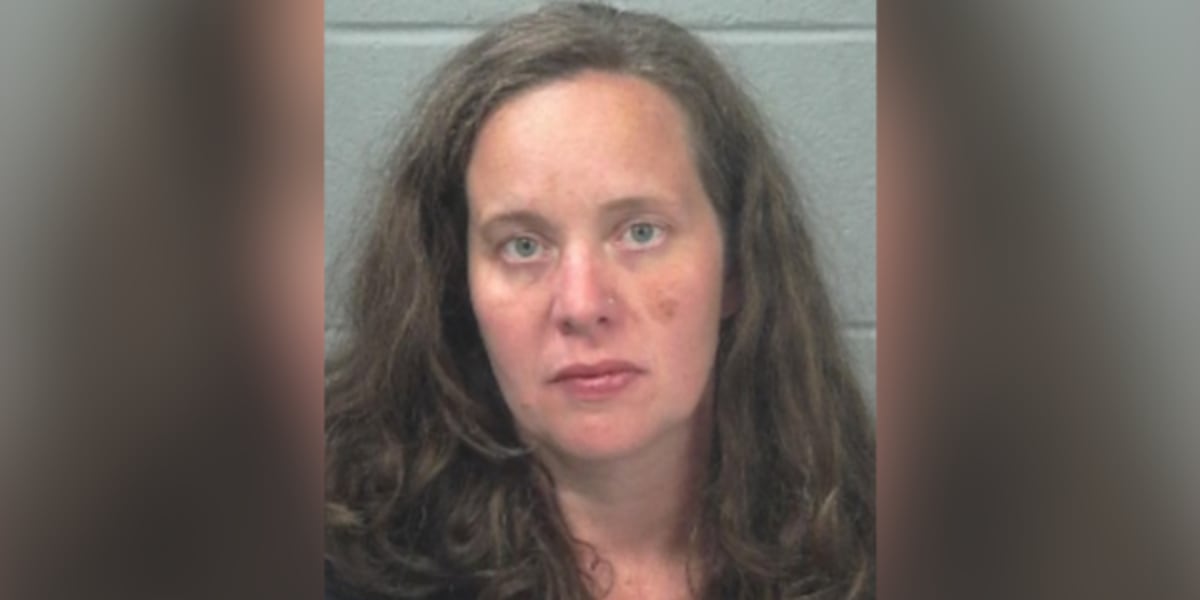 3-year-old child, dog found dead in car while mother says she was camping, court records say