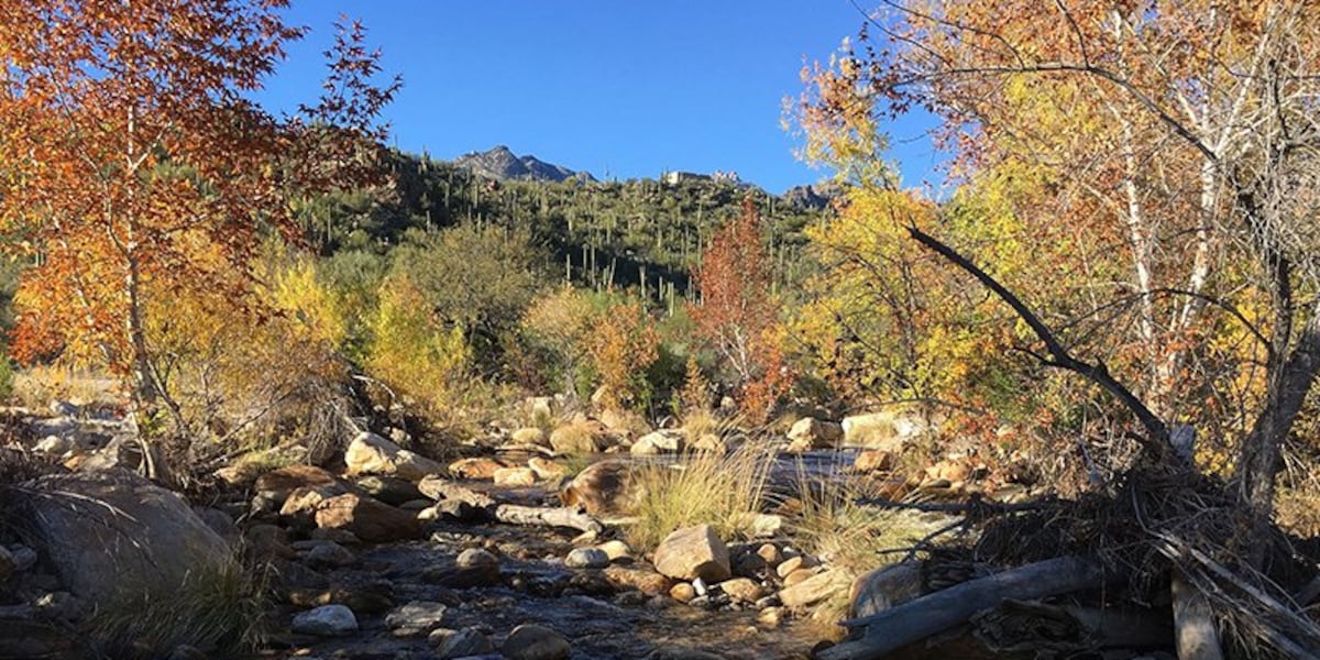 Holiday camping begins as Stage 2 fire restrictions continue