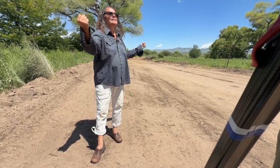 Protesters stage tree ‘sit-in’ in Arizona to oppose border wall construction
