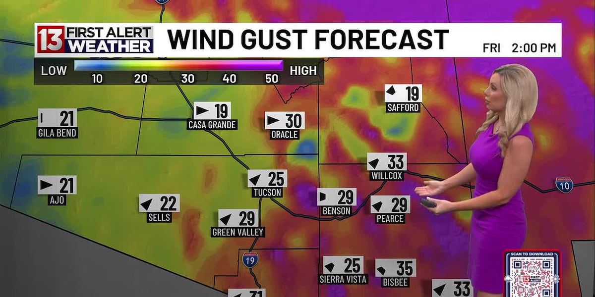 Gusty southwest winds with elevated fire risk east of Tucson