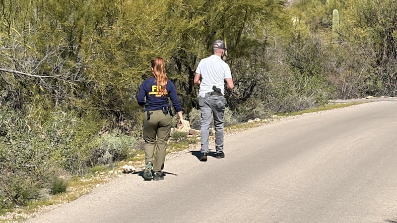 Investigators continued to search the area around Nancy Guthrie's home on Wednesday, Feb. 11.