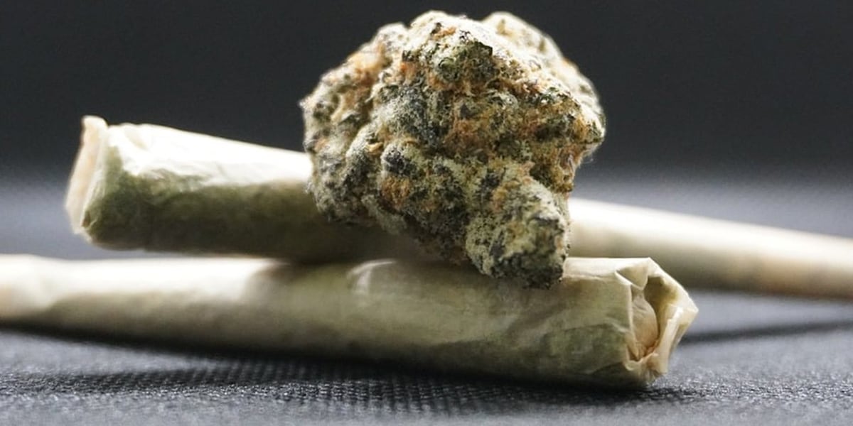 Arizona health officials recall marijuana preroll over possible fungal contamination