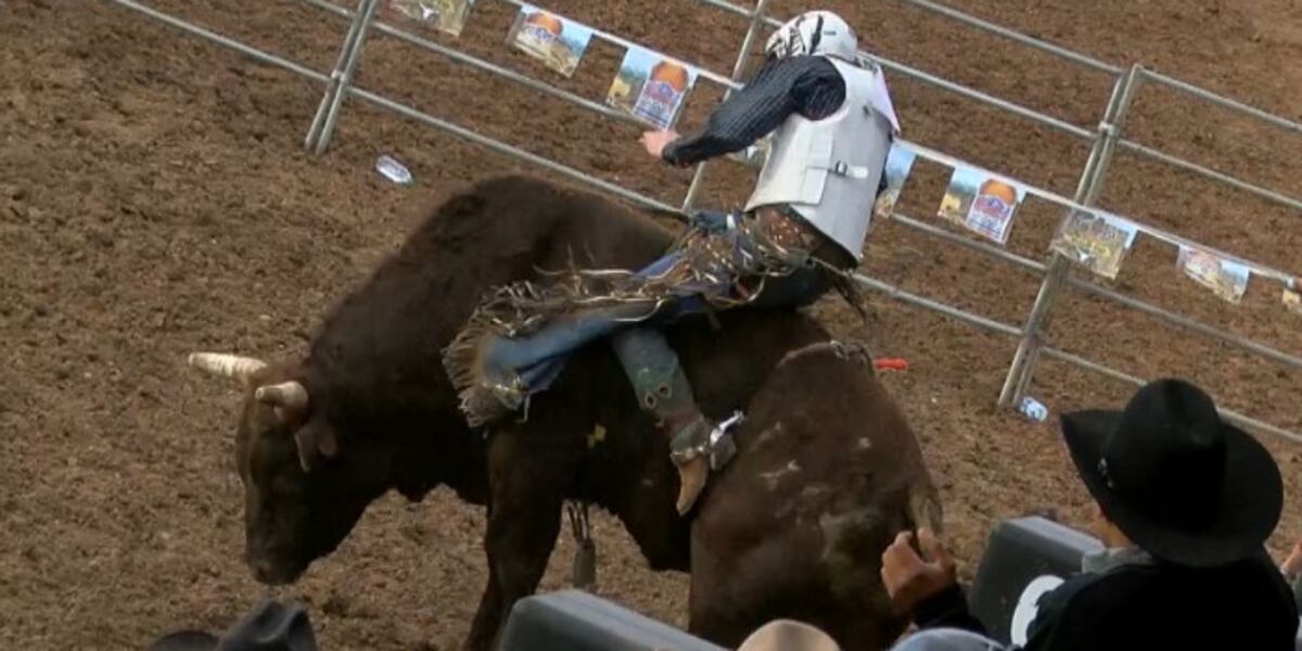 Animal Injuries From Rodeo Tucson Rodeo: No major animal injuries in 2020