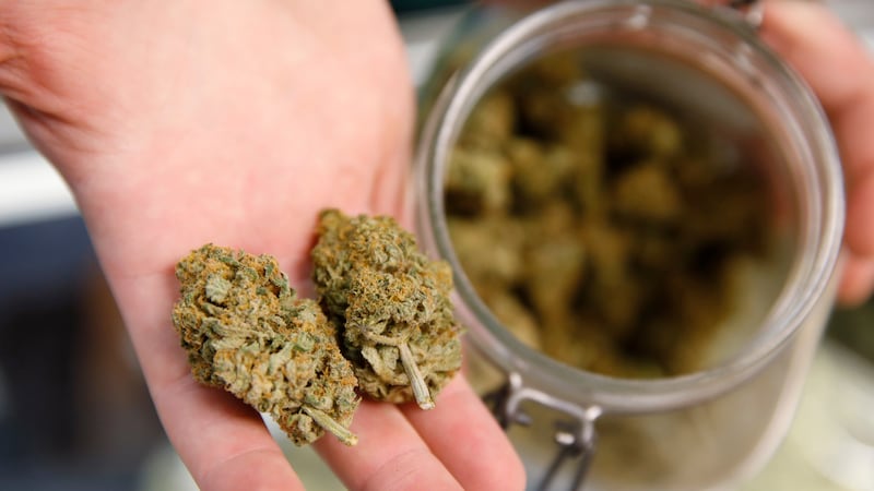 Marijuana products recalled because of possible salmonella or mold