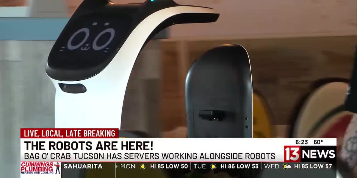 Tucson restaurant uses AI robots to serve customers