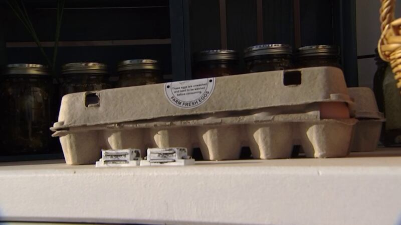 Farm fresh eggs are gaining popularity in Arizona as prices continue to increase.