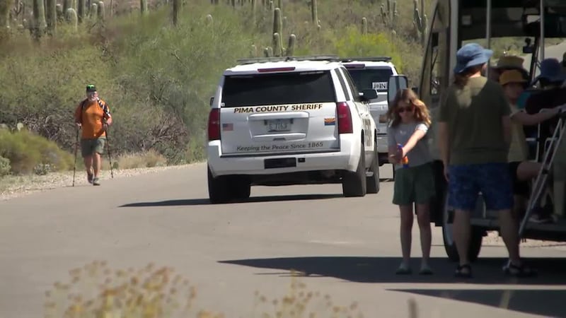 Hiker transported after Sabino Canyon rescue